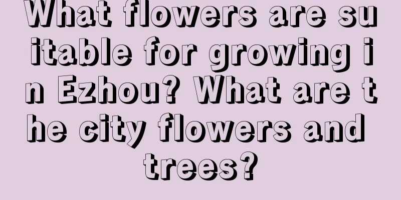 What flowers are suitable for growing in Ezhou? What are the city flowers and trees?