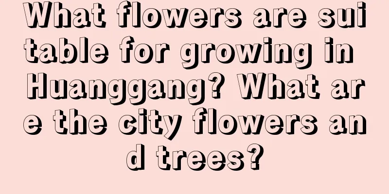 What flowers are suitable for growing in Huanggang? What are the city flowers and trees?