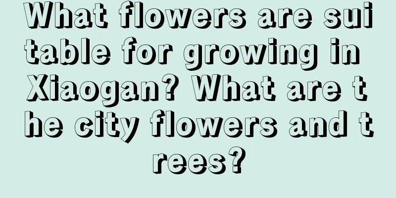 What flowers are suitable for growing in Xiaogan? What are the city flowers and trees?