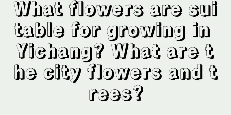 What flowers are suitable for growing in Yichang? What are the city flowers and trees?