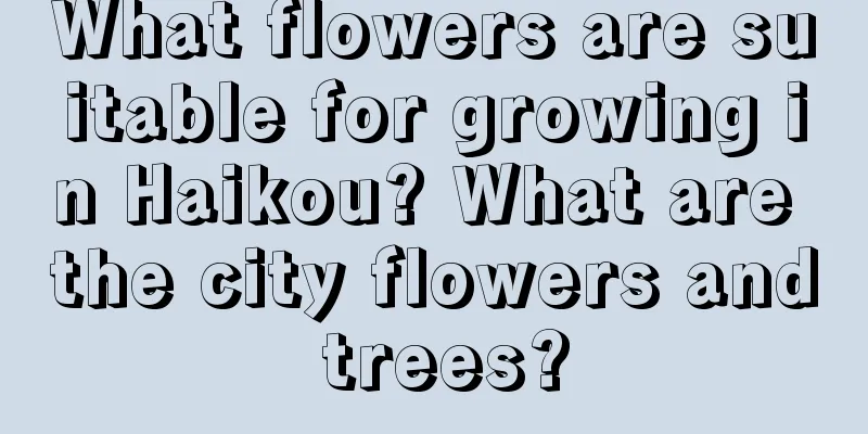 What flowers are suitable for growing in Haikou? What are the city flowers and trees?