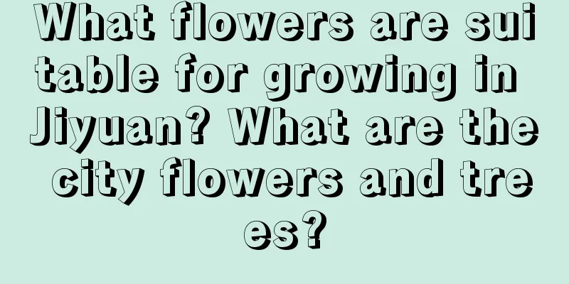 What flowers are suitable for growing in Jiyuan? What are the city flowers and trees?