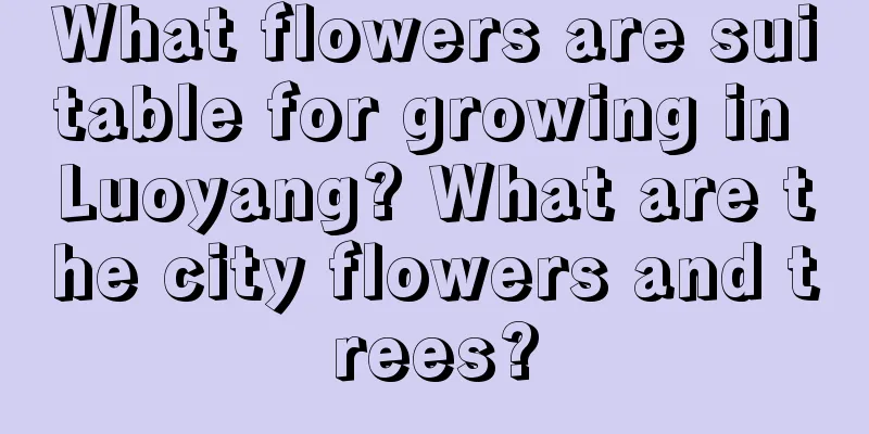 What flowers are suitable for growing in Luoyang? What are the city flowers and trees?