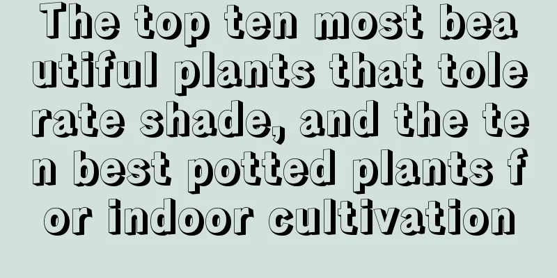 The top ten most beautiful plants that tolerate shade, and the ten best potted plants for indoor cultivation