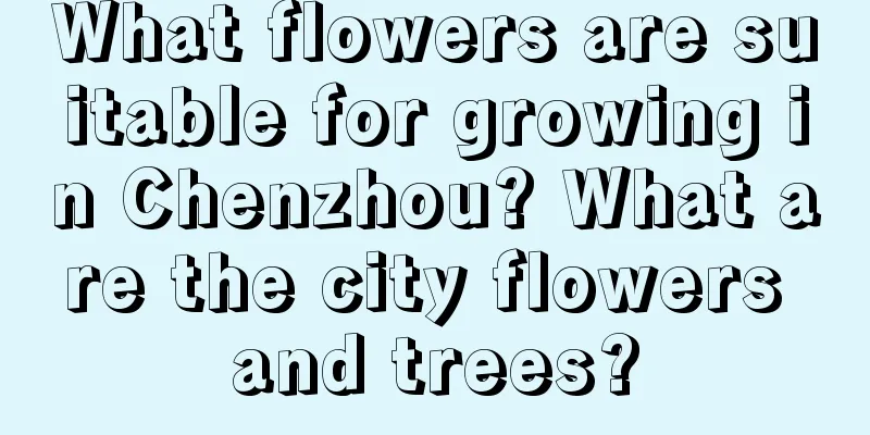 What flowers are suitable for growing in Chenzhou? What are the city flowers and trees?