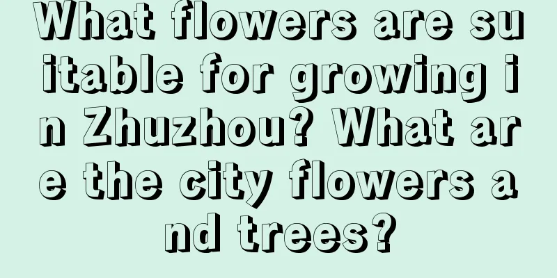 What flowers are suitable for growing in Zhuzhou? What are the city flowers and trees?