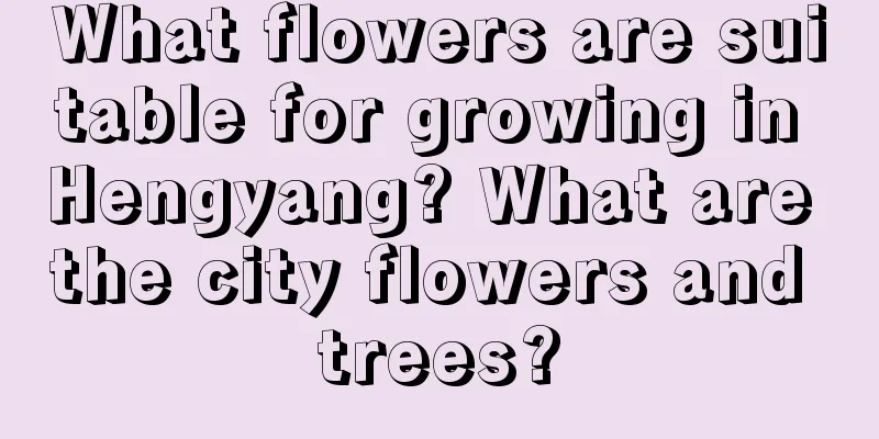 What flowers are suitable for growing in Hengyang? What are the city flowers and trees?