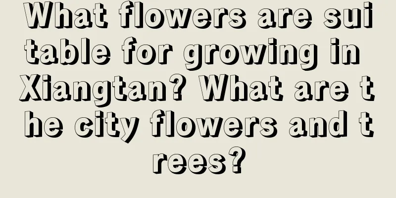 What flowers are suitable for growing in Xiangtan? What are the city flowers and trees?