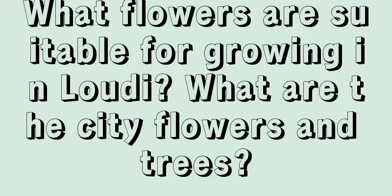 What flowers are suitable for growing in Loudi? What are the city flowers and trees?