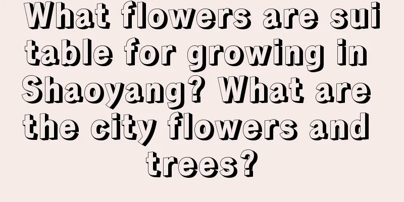 What flowers are suitable for growing in Shaoyang? What are the city flowers and trees?