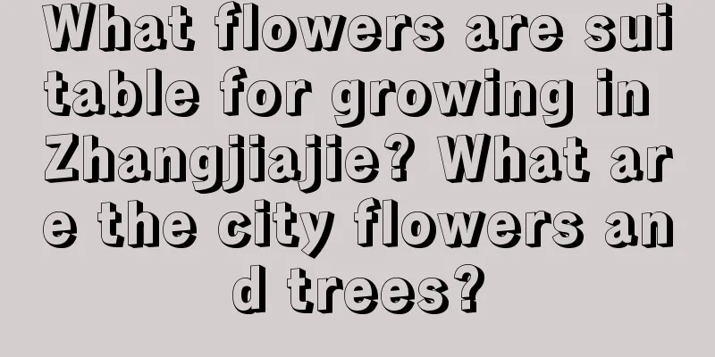 What flowers are suitable for growing in Zhangjiajie? What are the city flowers and trees?