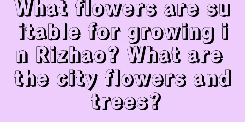 What flowers are suitable for growing in Rizhao? What are the city flowers and trees?