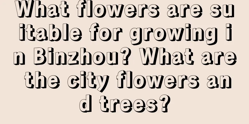 What flowers are suitable for growing in Binzhou? What are the city flowers and trees?