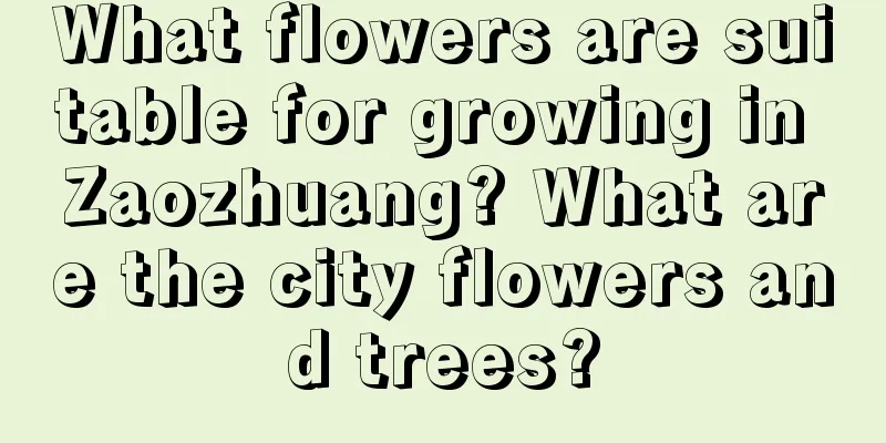 What flowers are suitable for growing in Zaozhuang? What are the city flowers and trees?