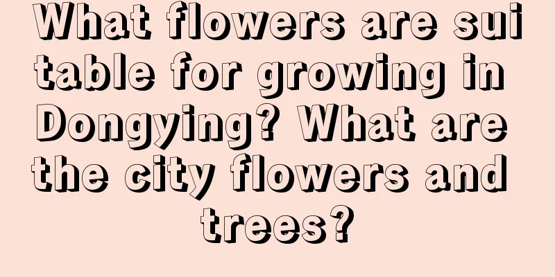 What flowers are suitable for growing in Dongying? What are the city flowers and trees?