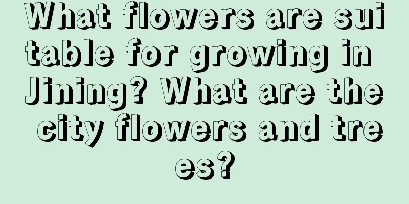 What flowers are suitable for growing in Jining? What are the city flowers and trees?