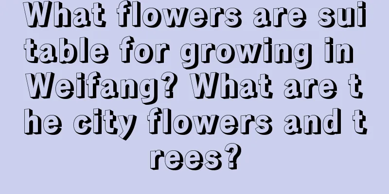 What flowers are suitable for growing in Weifang? What are the city flowers and trees?