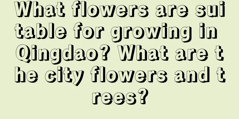 What flowers are suitable for growing in Qingdao? What are the city flowers and trees?