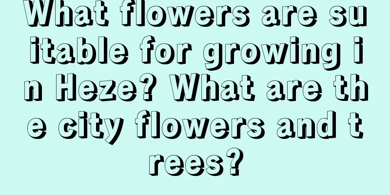 What flowers are suitable for growing in Heze? What are the city flowers and trees?