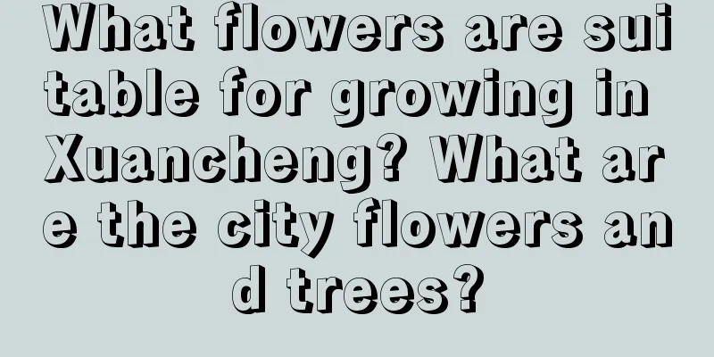 What flowers are suitable for growing in Xuancheng? What are the city flowers and trees?