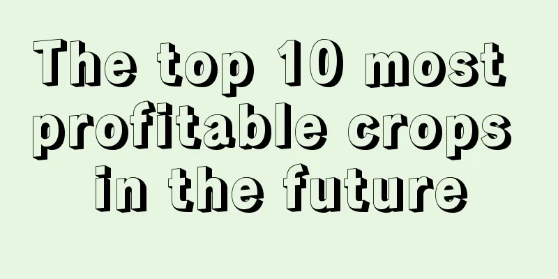 The top 10 most profitable crops in the future