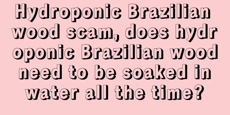 Hydroponic Brazilian wood scam, does hydroponic Brazilian wood need to be soaked in water all the time?