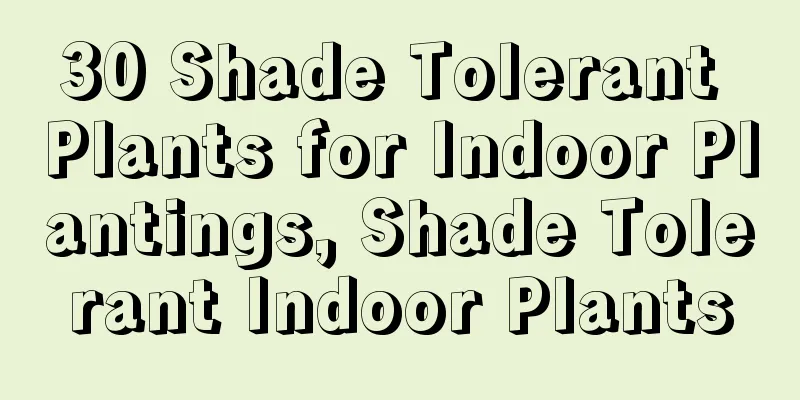 30 Shade Tolerant Plants for Indoor Plantings, Shade Tolerant Indoor Plants