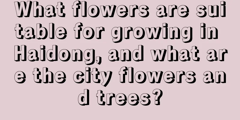 What flowers are suitable for growing in Haidong, and what are the city flowers and trees?