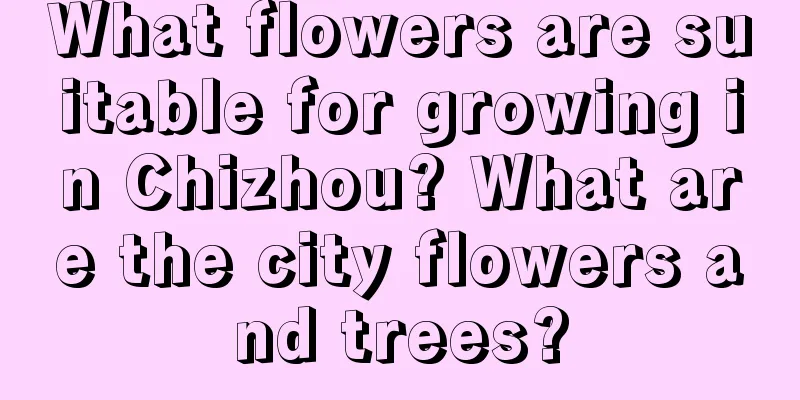 What flowers are suitable for growing in Chizhou? What are the city flowers and trees?