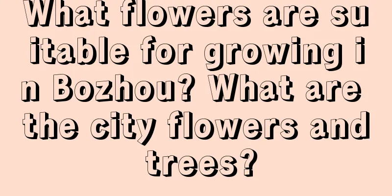 What flowers are suitable for growing in Bozhou? What are the city flowers and trees?