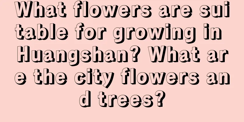 What flowers are suitable for growing in Huangshan? What are the city flowers and trees?