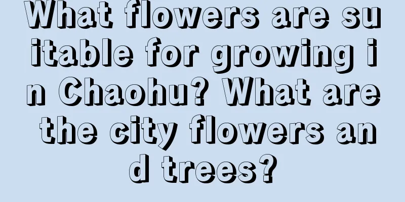 What flowers are suitable for growing in Chaohu? What are the city flowers and trees?