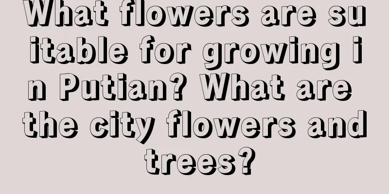 What flowers are suitable for growing in Putian? What are the city flowers and trees?