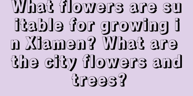 What flowers are suitable for growing in Xiamen? What are the city flowers and trees?