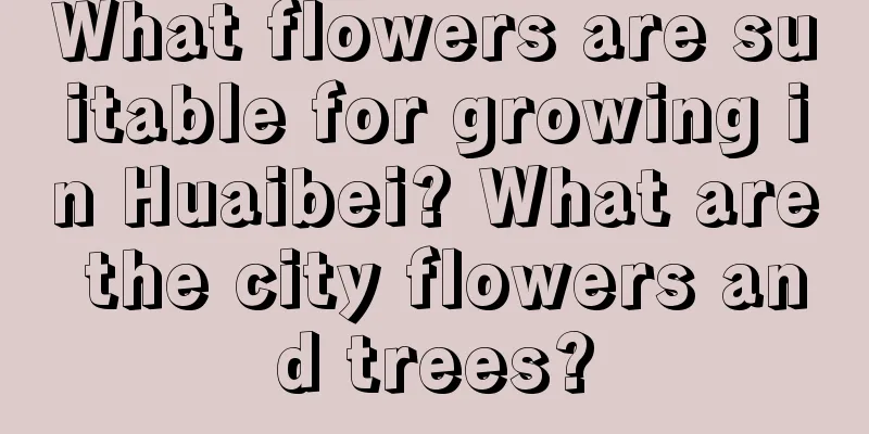 What flowers are suitable for growing in Huaibei? What are the city flowers and trees?