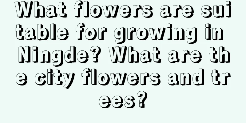 What flowers are suitable for growing in Ningde? What are the city flowers and trees?