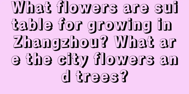 What flowers are suitable for growing in Zhangzhou? What are the city flowers and trees?