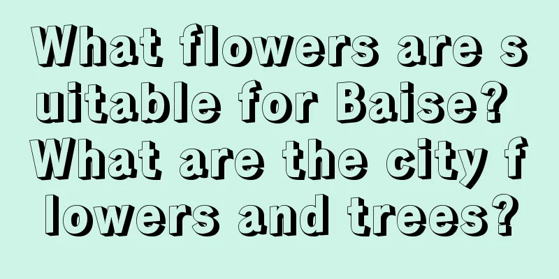 What flowers are suitable for Baise? What are the city flowers and trees?