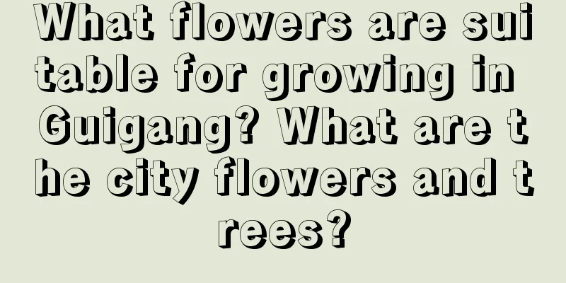 What flowers are suitable for growing in Guigang? What are the city flowers and trees?