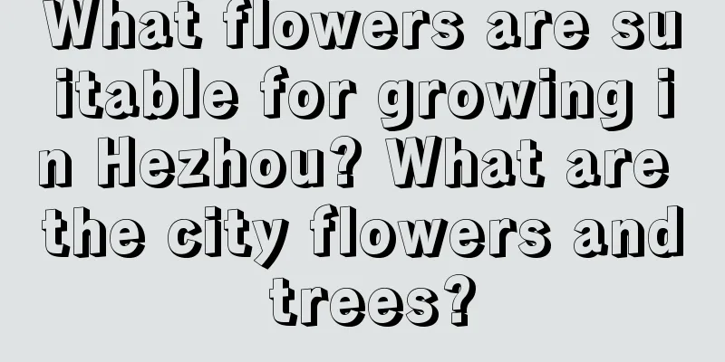 What flowers are suitable for growing in Hezhou? What are the city flowers and trees?