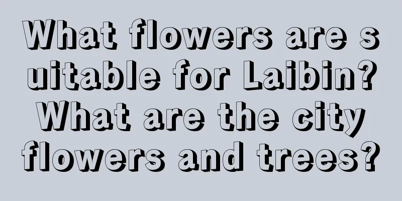 What flowers are suitable for Laibin? What are the city flowers and trees?