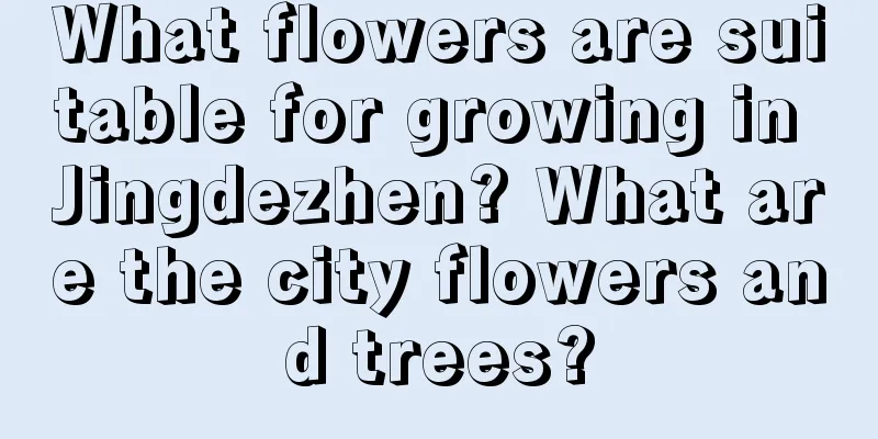 What flowers are suitable for growing in Jingdezhen? What are the city flowers and trees?