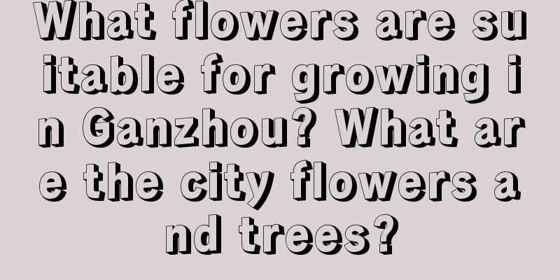 What flowers are suitable for growing in Ganzhou? What are the city flowers and trees?