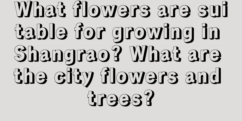 What flowers are suitable for growing in Shangrao? What are the city flowers and trees?