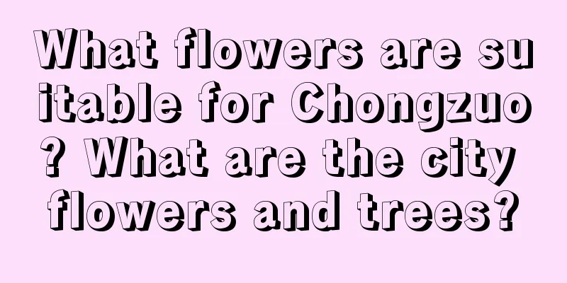 What flowers are suitable for Chongzuo? What are the city flowers and trees?