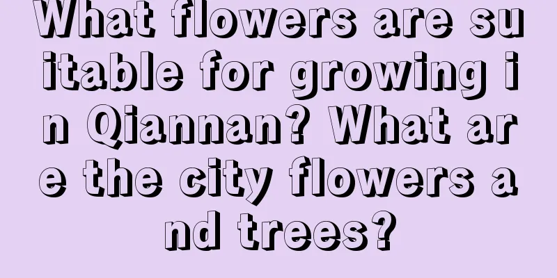 What flowers are suitable for growing in Qiannan? What are the city flowers and trees?