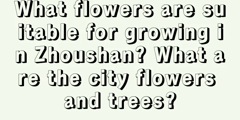 What flowers are suitable for growing in Zhoushan? What are the city flowers and trees?