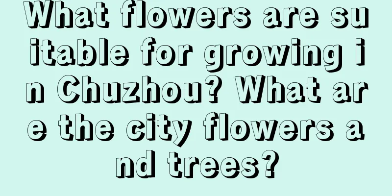 What flowers are suitable for growing in Chuzhou? What are the city flowers and trees?