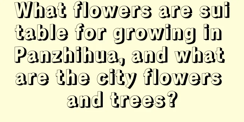 What flowers are suitable for growing in Panzhihua, and what are the city flowers and trees?