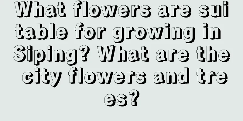 What flowers are suitable for growing in Siping? What are the city flowers and trees?